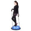 Poza cu Bosu Ball cu manere DY-GB-075