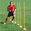 Poza cu Stalp slalom pentru agilitate, 150 x 2,5 cm, Dayu Fitness
