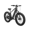 Poza cu Bicicleta electrica MorphRover