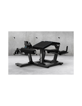 Poza cu APARAT FLEXIE PICIOARE M-1527/50, INCARCARE PE DISCURI, SALTER