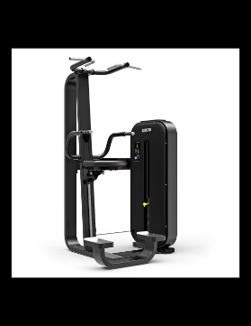 Poza cu APARAT TRACTIUNI/TRICEPS ASISTAT, M-2088  ESSENCE, SALTER