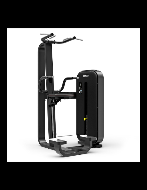 Poza cu APARAT TRACTIUNI/TRICEPS ASISTAT, M-2088  ESSENCE, SALTER