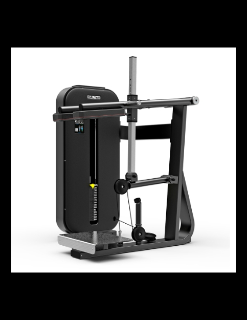Poza cu SQUAT / STANDING CALF, M-2019  ESSENCE, SALTER