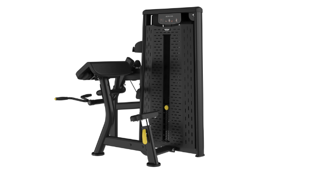 Poza cu Aparat biceps curl, ASN-006, TheWay Fitness