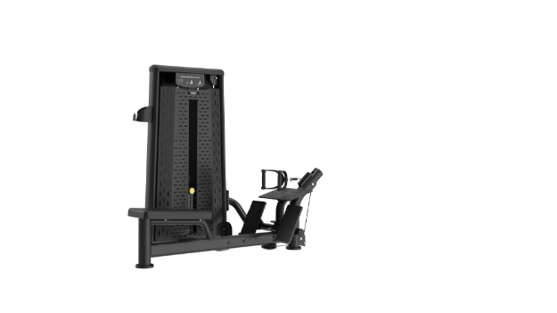Poza cu Aparat ramat spate din sezut, ASN-012A, TheWay Fitness